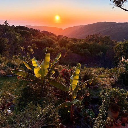 Cefalu Forest Hideout Extérieur photo