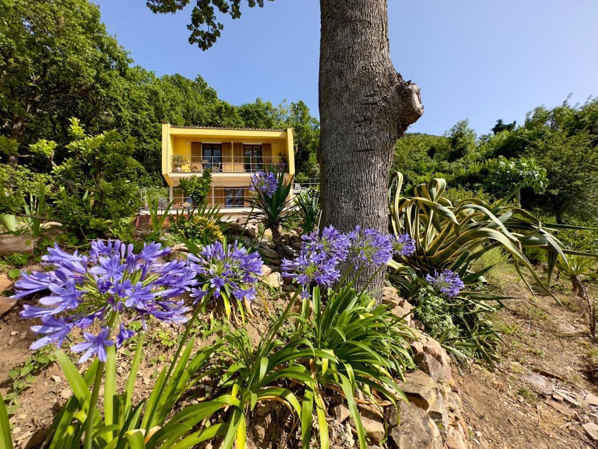 Cefalu Forest Hideout Extérieur photo
