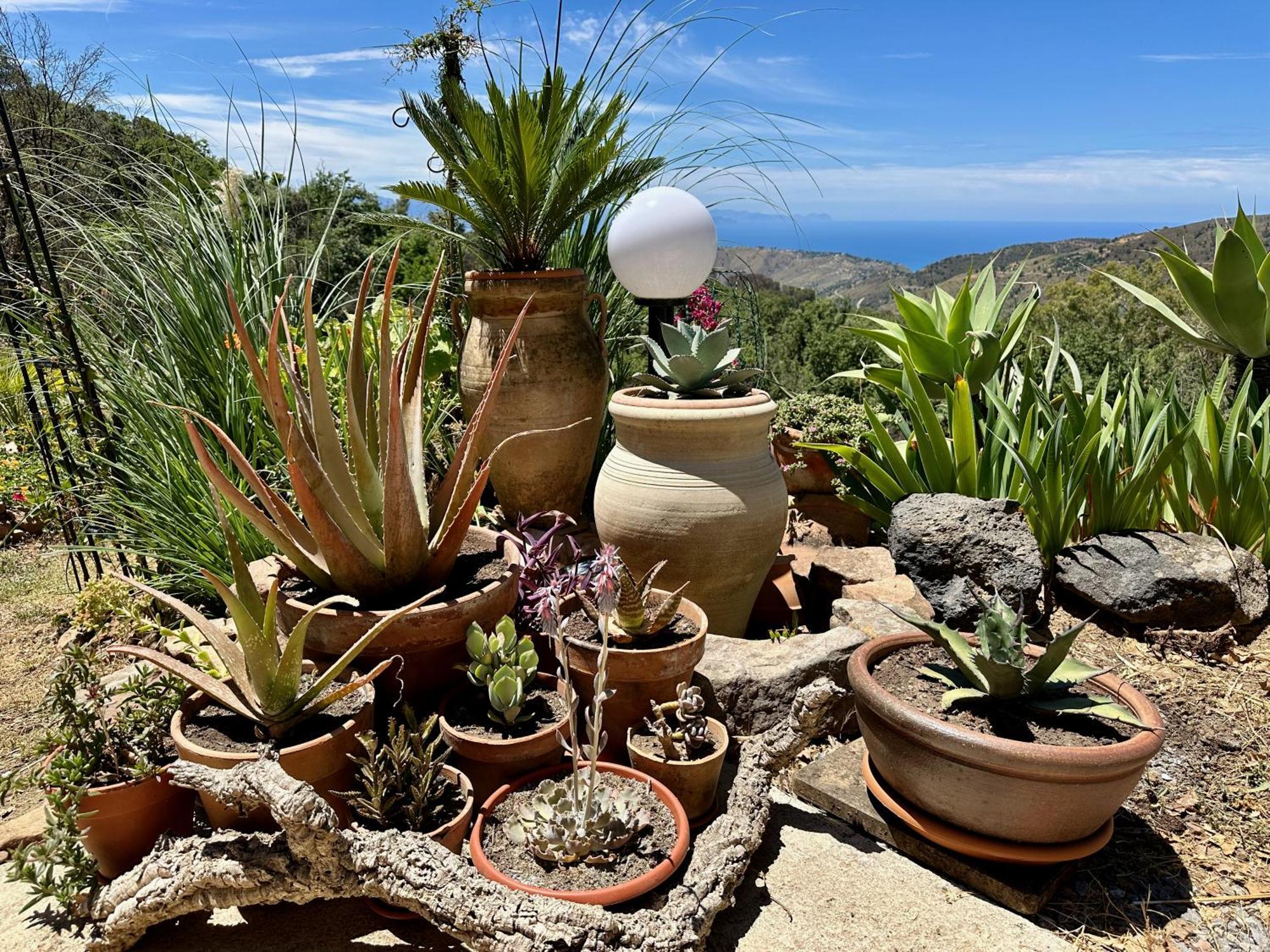 Cefalu Forest Hideout Extérieur photo